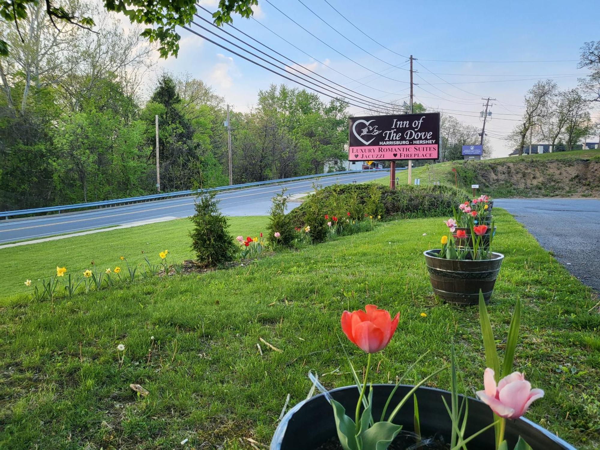 Of The Dove - Romantic Luxury With Jacuzzi & Fireplace At Harrisburg-hershey-philadelphia, Pa 3*