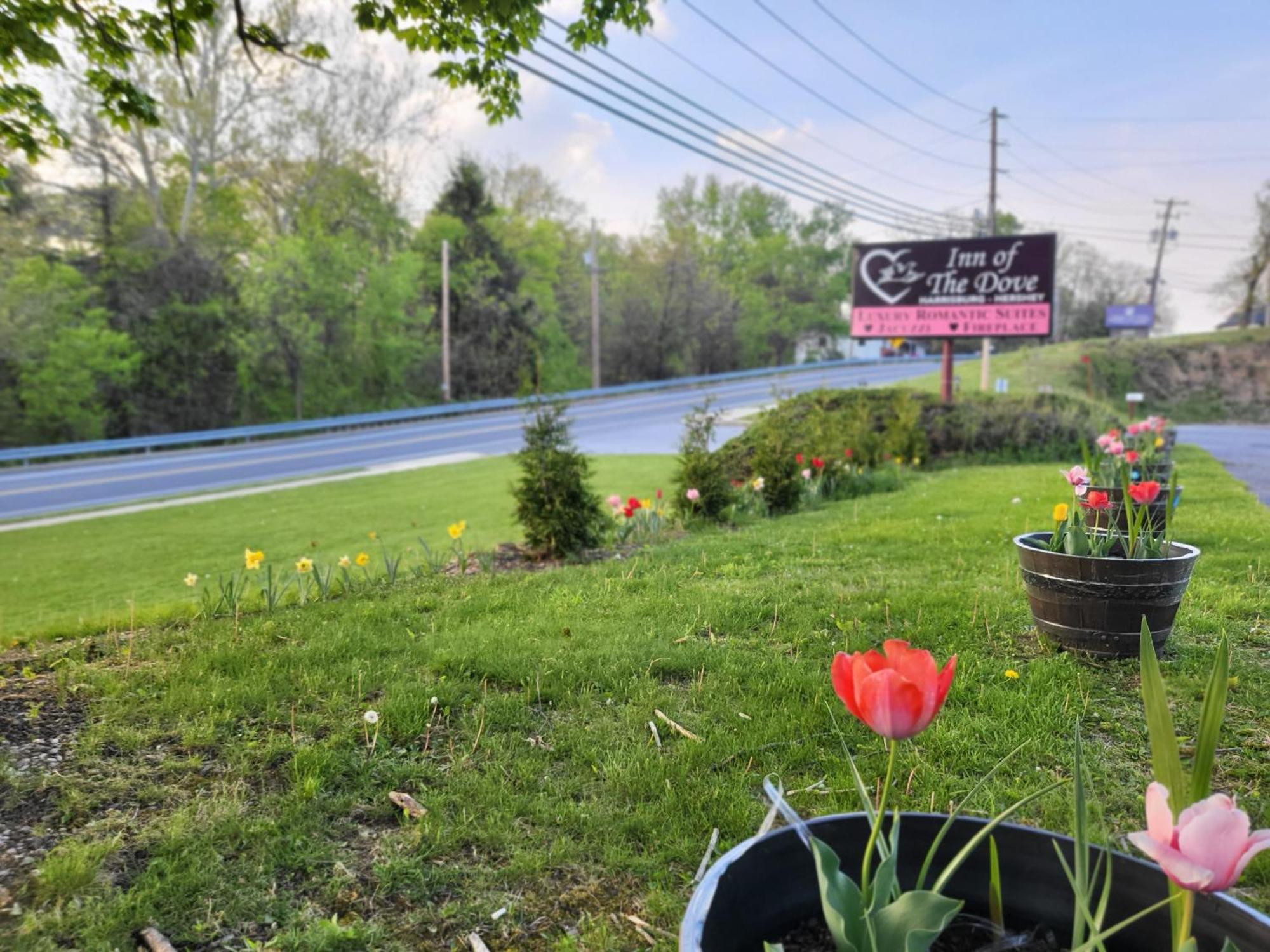 Of The Dove - Romantic Luxury With Jacuzzi & Fireplace At Harrisburg-hershey-philadelphia, Pa 3*